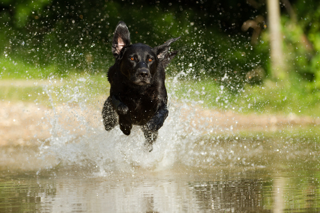 Mehr über den Artikel erfahren Wahnsinn!!