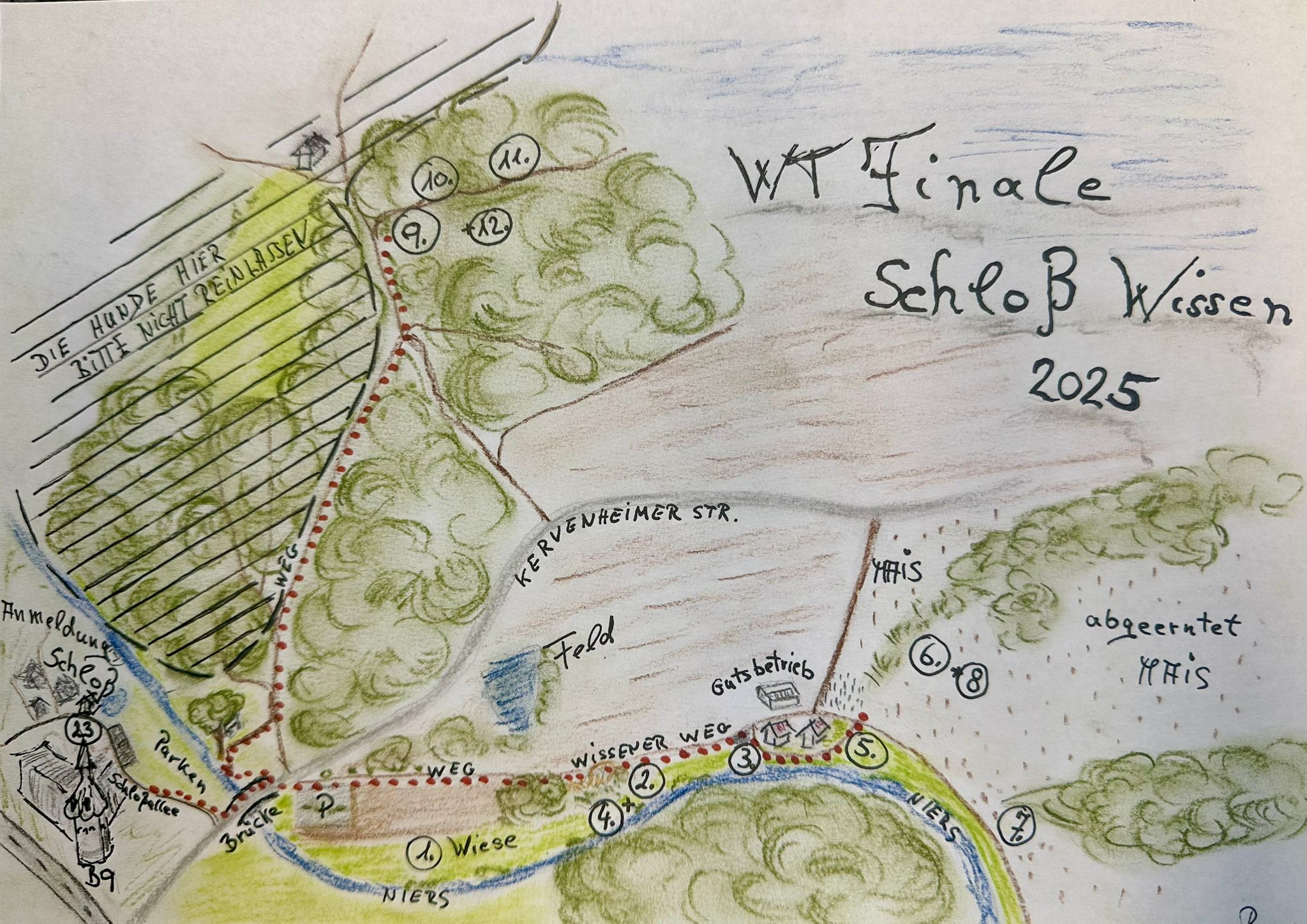 Mehr über den Artikel erfahren Ein toller Bericht von Anne (Siegerin der F)